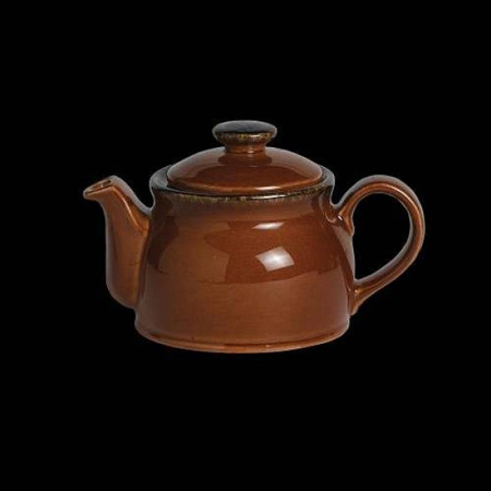 11230367-英国Steelite 陶瓷茶壶