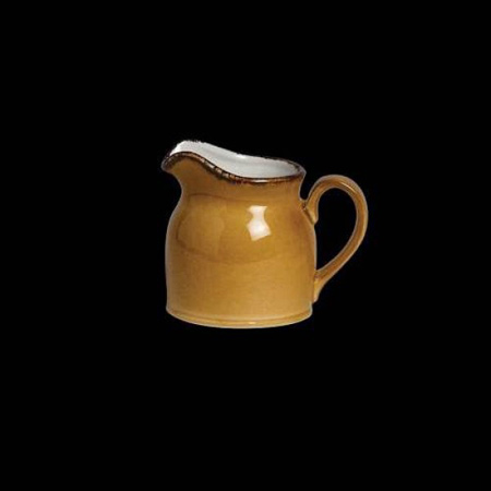 11210387-英国Steelite 陶瓷水壶