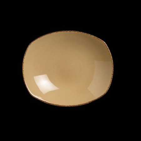 11200587-英国Steelite 陶瓷西餐调味盘